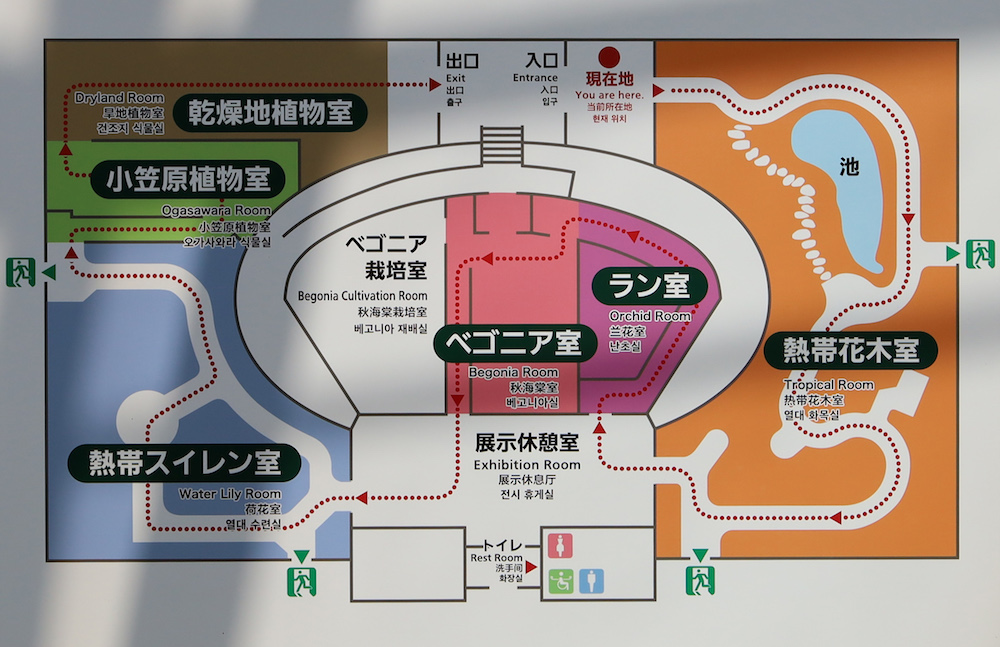 3d 神代植物公園 大温室 熱帯花木室 発想法 情報処理と問題解決