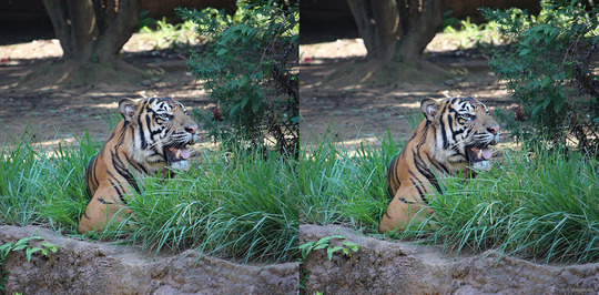 IMG_4309_10_edited-1