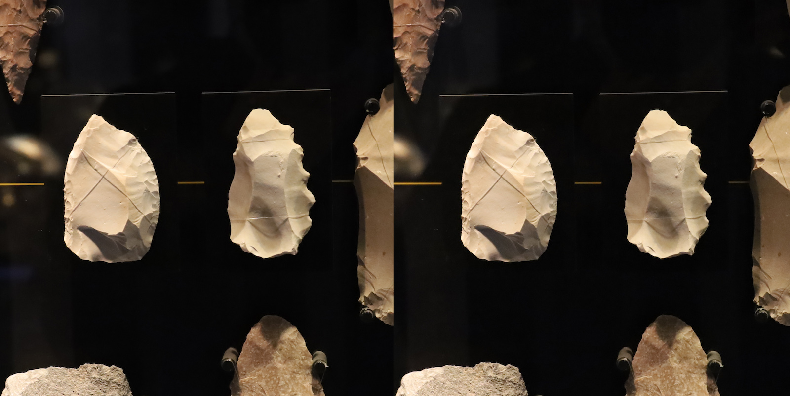 発想法　- 情報処理と問題解決 -3D 国立科学博物館「人類の進化｣（3）