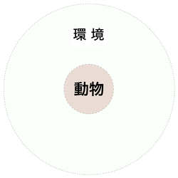 170508 動物