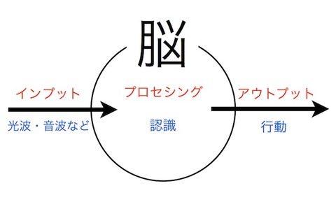 140625 脳の仕組み