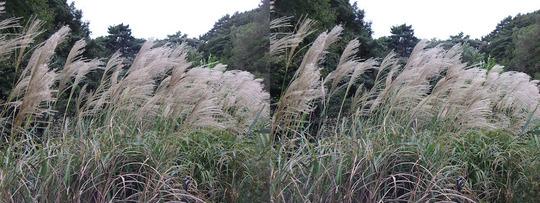 DSCF4119ab