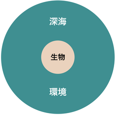 180309 生物-深海