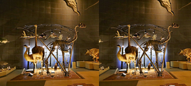 IMG_7537_8