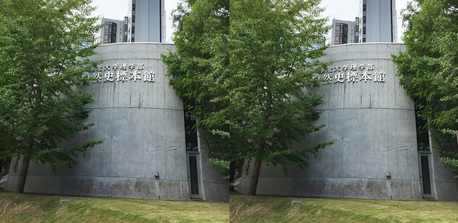 3d 東北大学 自然史標本館 発想法 情報処理と問題解決