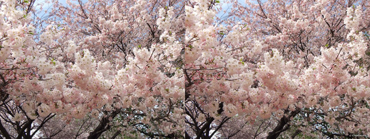 DSCF0657ba
