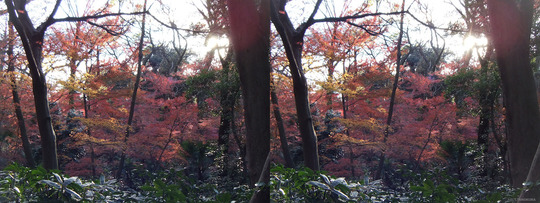 DSCF4346ba