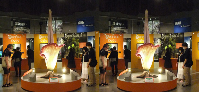 DSCF1035ab