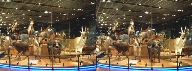 DSCF9362ab