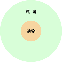 180605 動物