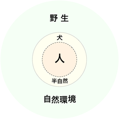 180610 ペット