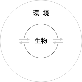 191008 生物と環境