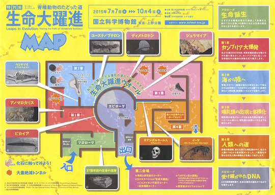 150709 生命大躍進 のコピー