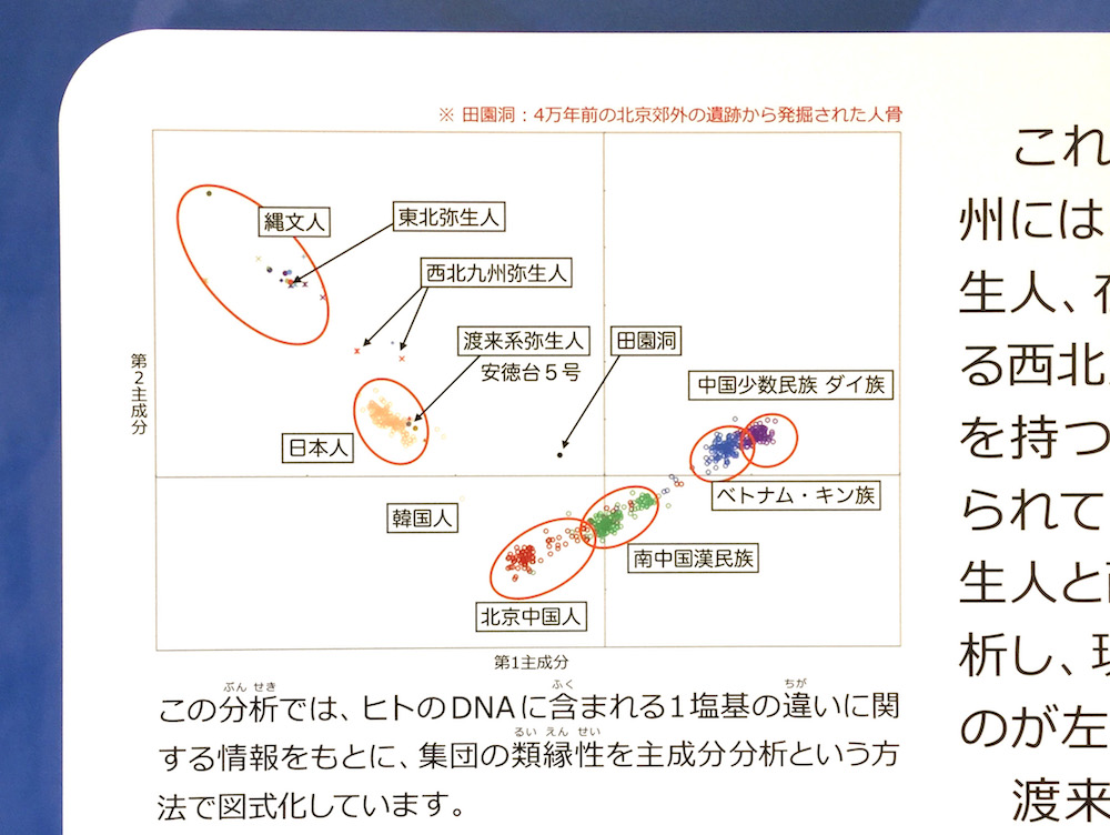 【考古学】日本考古学史上最大の謎「土偶の正体」がついに解明  ★２  [ごまカンパチ★]YouTube動画>5本 ->画像>73枚 