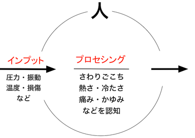 160208 皮膚感覚