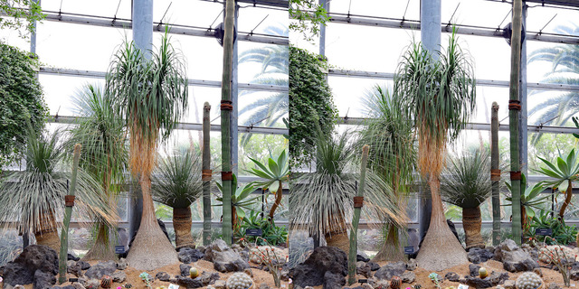 IMG_6419_20_edited-1