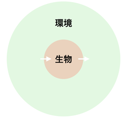 180325 生物-環境