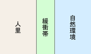 170102b 鎮守の森