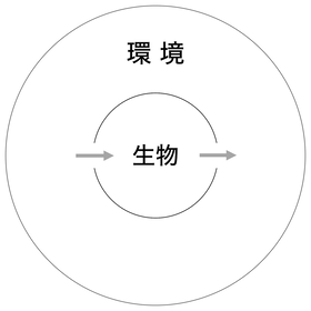 201230 単純モデル