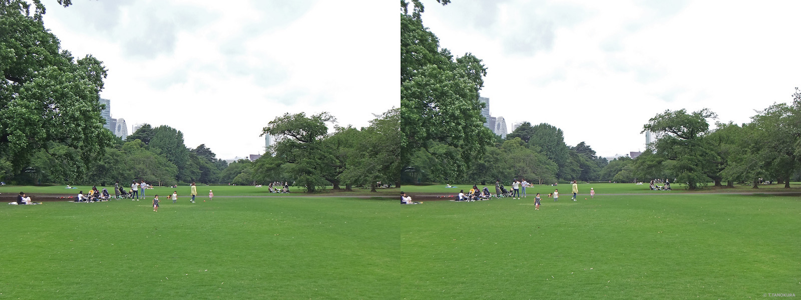 イギリス風景式庭園と植物 新宿御苑 19 発想法 情報処理と問題解決