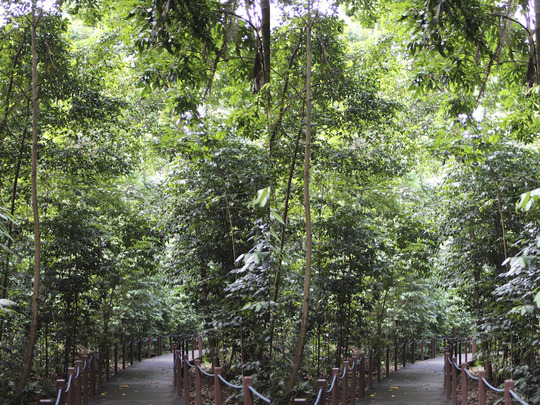 IMG_4540_1
