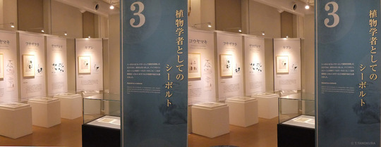 DSCF4020ab