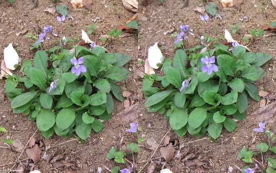 DSCF0551ab