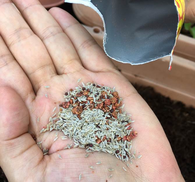 肥料あり なし比較 ベビーリーフ栽培 プランター菜園をやってみよう 会社の屋上 で 収穫を目指す 会社員の熱き戦い 肥料あり なし比較 ベビーリーフ栽培 プランター菜園をやってみよう 会社の屋上 で 収穫を目指す 会社員の熱き戦い