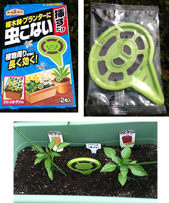 害虫対策をしよう プランター菜園をやってみよう 会社の屋上 で 収穫を目指す 会社員の熱き戦い