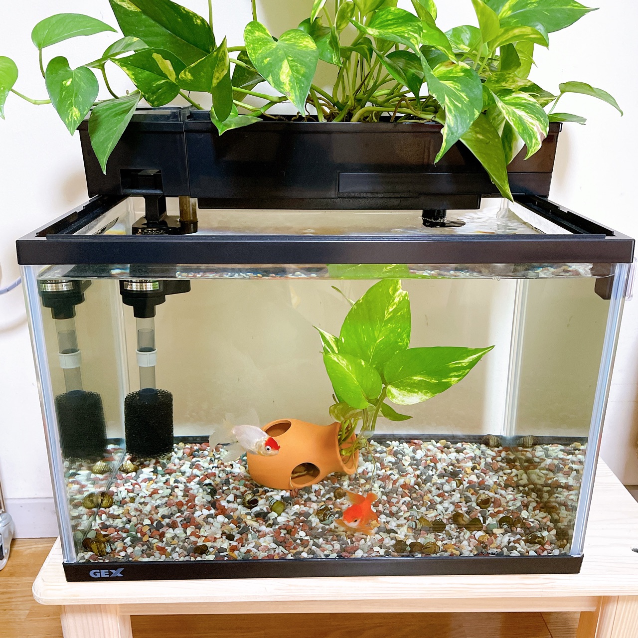 新品未使用 ３個セット 水質浄化活性石バクチャー 淡水用 90cm規格水槽約１６０ℓ使用 熱帯魚 アクアリウム用品 Www Abtrs Com