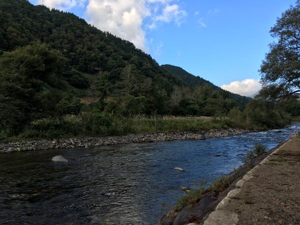 RF���Ȥ���10