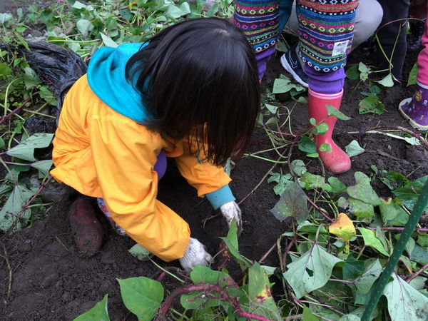 RF���Ȥ���04