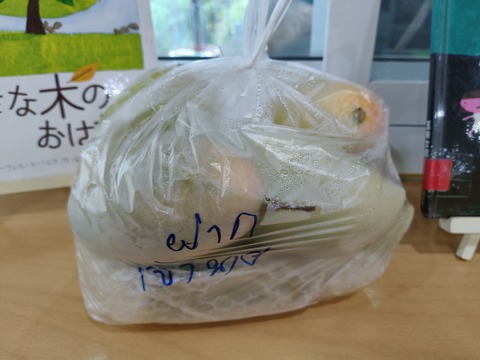 マンゴー