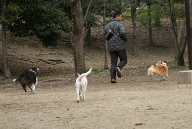 ++嗚呼、短足動物園++