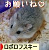 ++嗚呼、短足動物園++