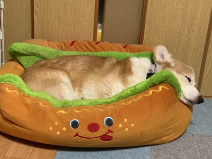 120705