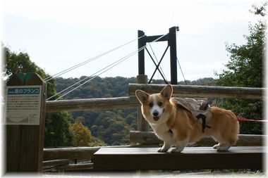 ++嗚呼、短足動物園++