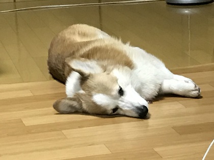 101201