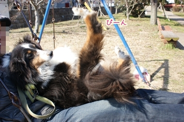 ++嗚呼、短足動物園++