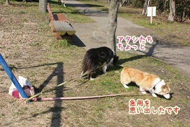 ++嗚呼、短足動物園++