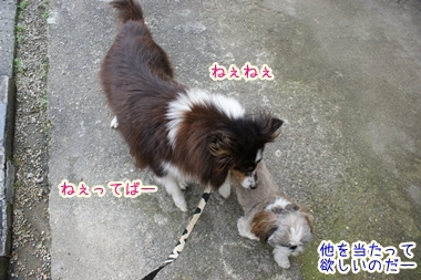 ++嗚呼、短足動物園++