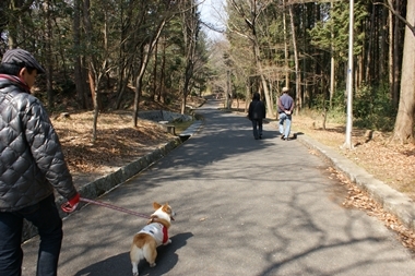 ++嗚呼、短足動物園++