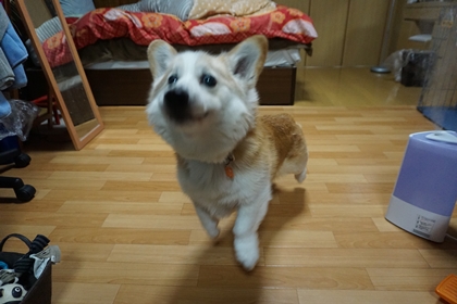040901