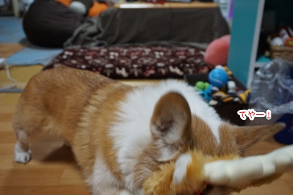 120501