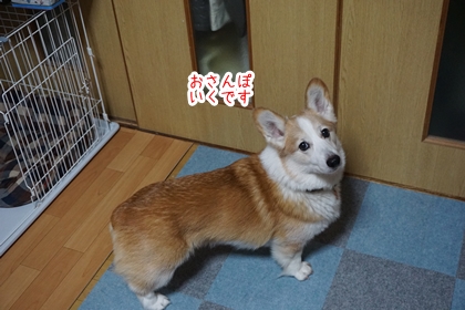 1005