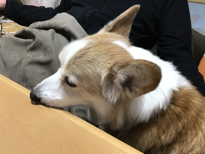 120404