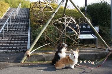 ++嗚呼、短足動物園++