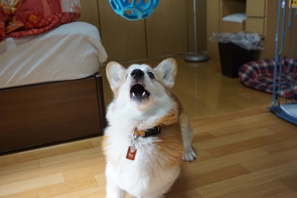 111104