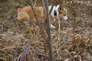 ++嗚呼、短足動物園++