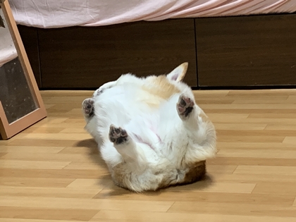 1222